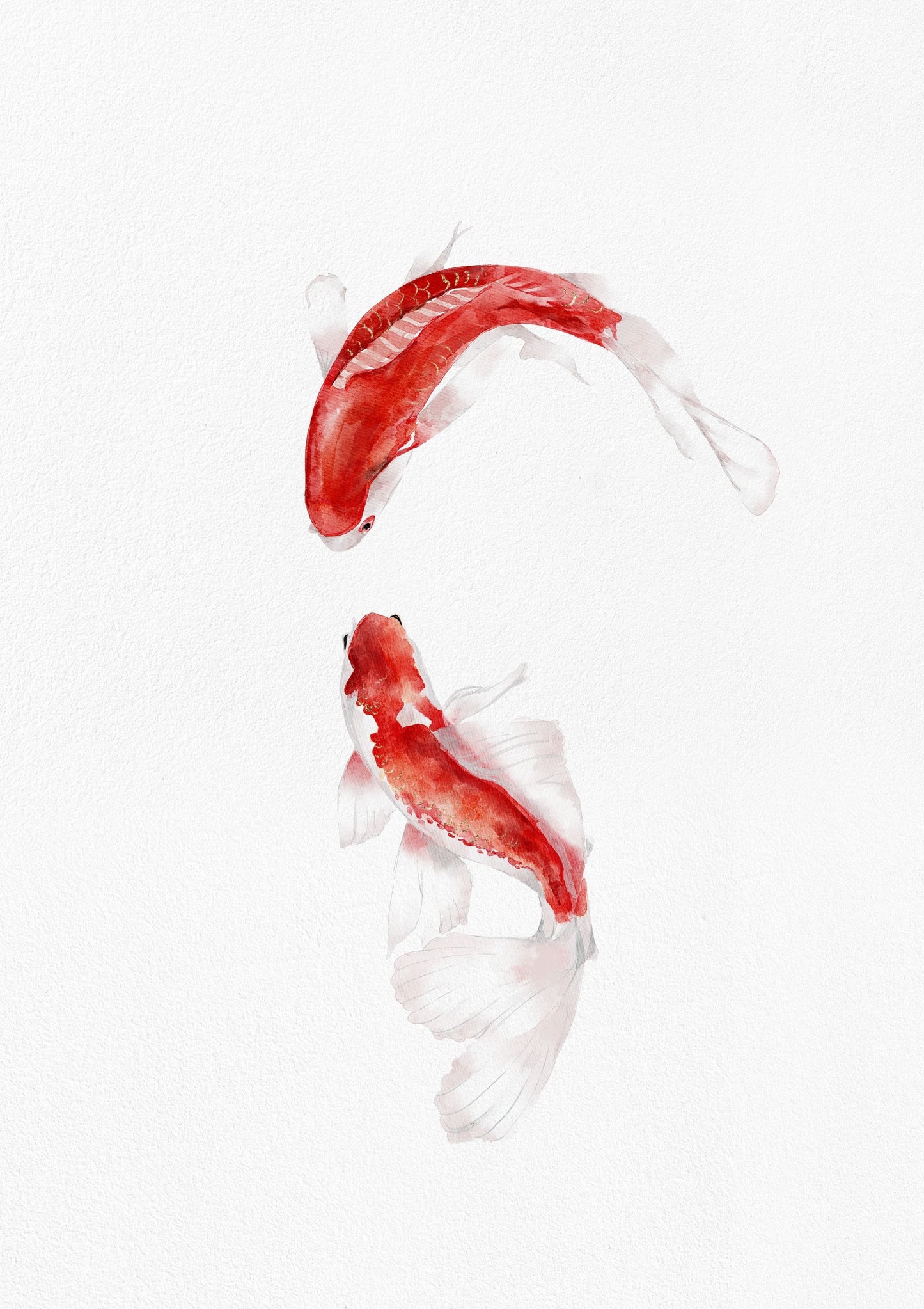 KOI - Plastic Print